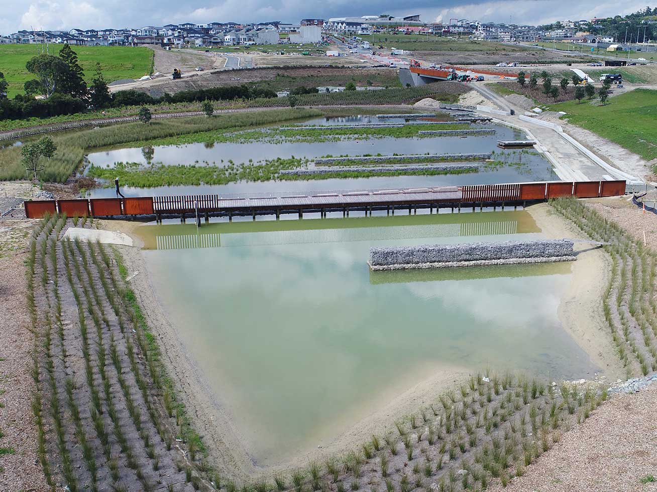 Stormwater Ponds & Raingardens The Plant People