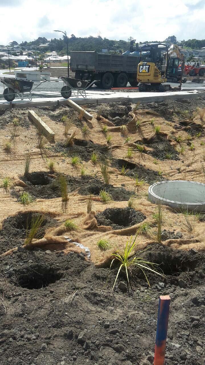 Boardwalk and stormwater pond construction: Kawau Waters - The Plant People