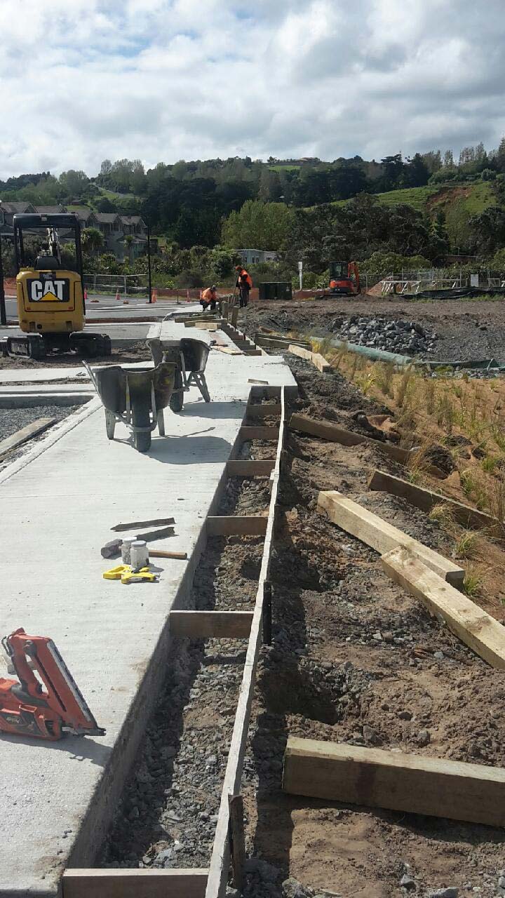 Boardwalk and stormwater pond construction: Kawau Waters - The Plant People