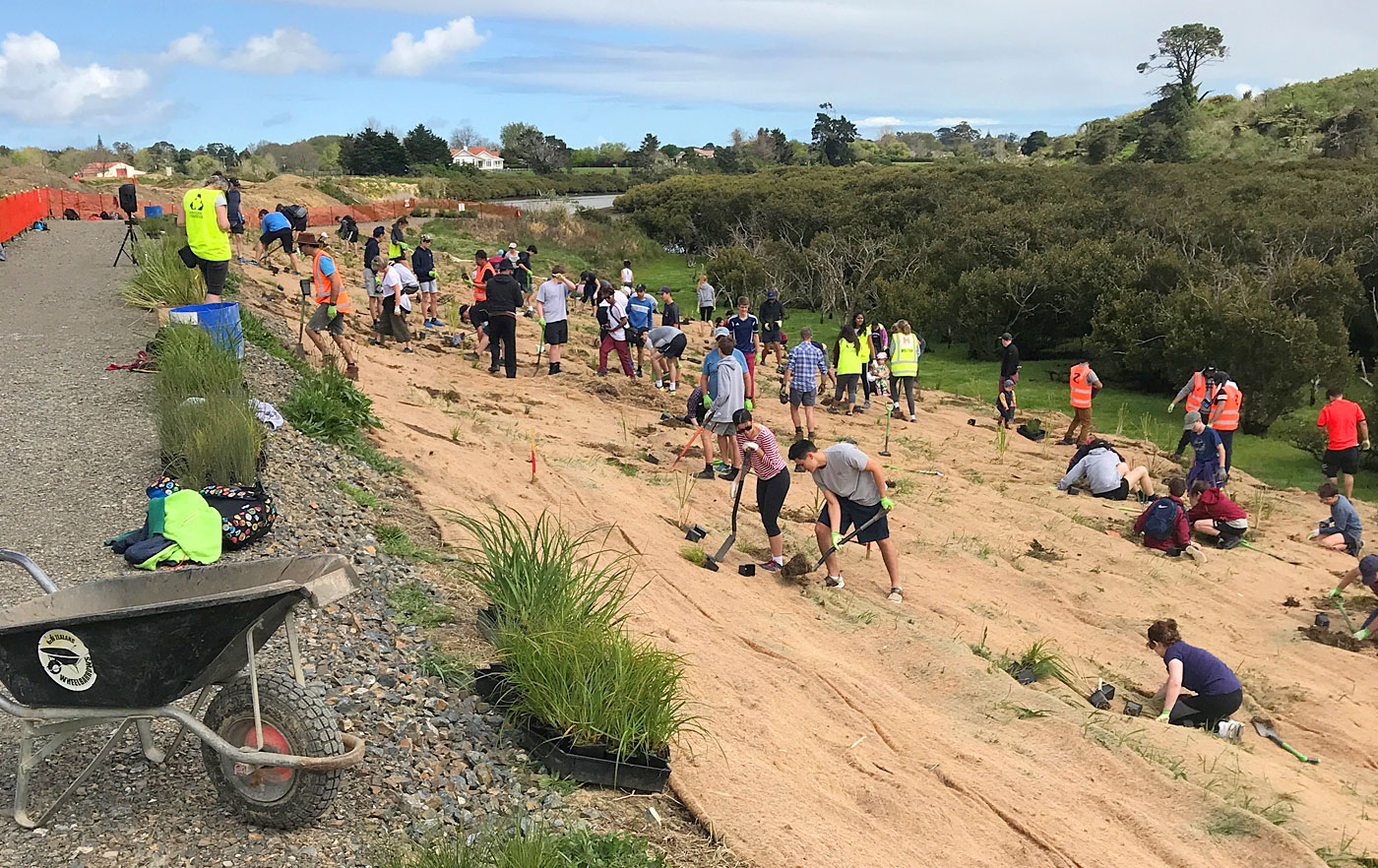 sustainable coastlines planting 2018