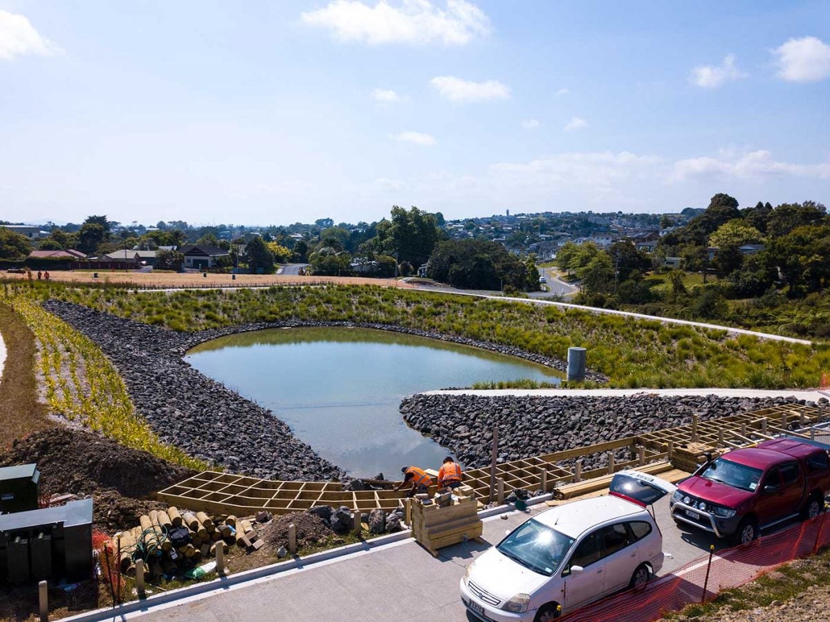 Landscape construction for Auckland subdivisions - The Plant People